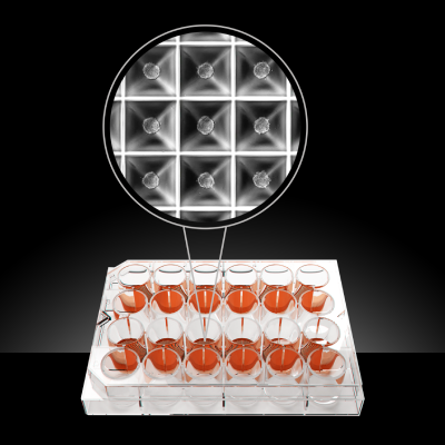 61ee13e798740 (1).png